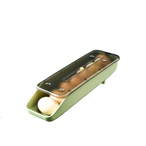 Compartiment de rangement pour œufs coulissant