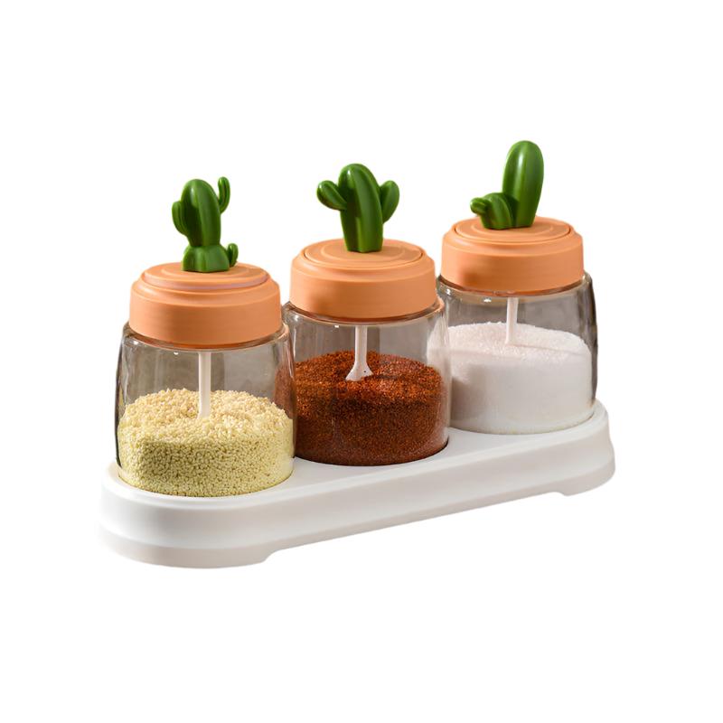 Cactus Seasoning Jar