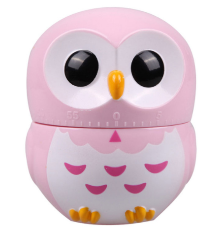 Owl Cartoon Kitchen Timer