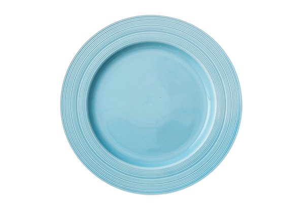 Simple Light Blue Rimmed Nordic Plate