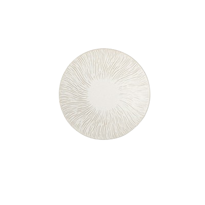 Grande assiette plate en céramique à motif d'écorce
