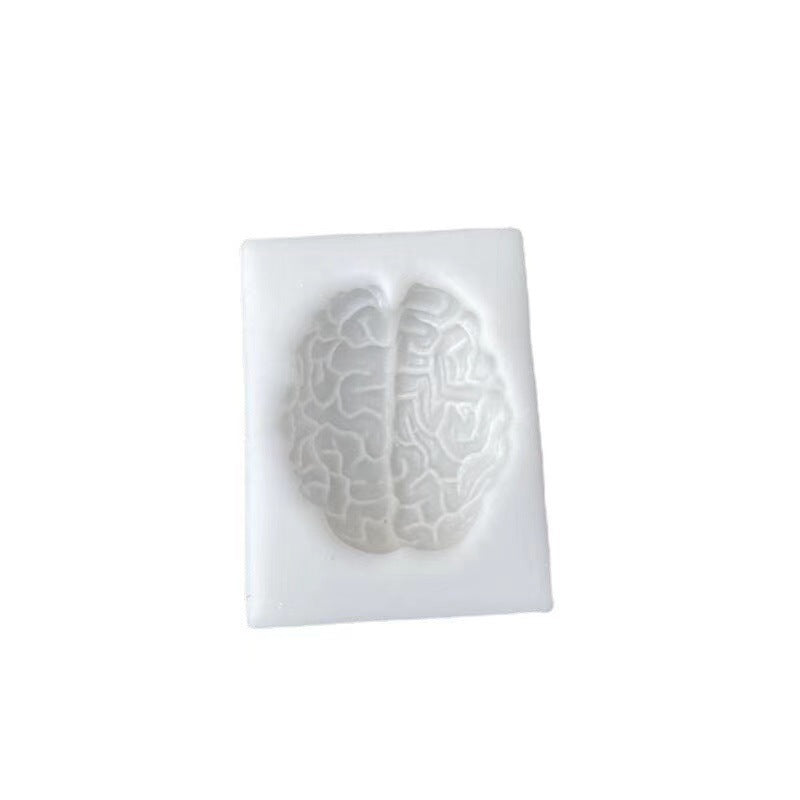 Silicone Brain Mould