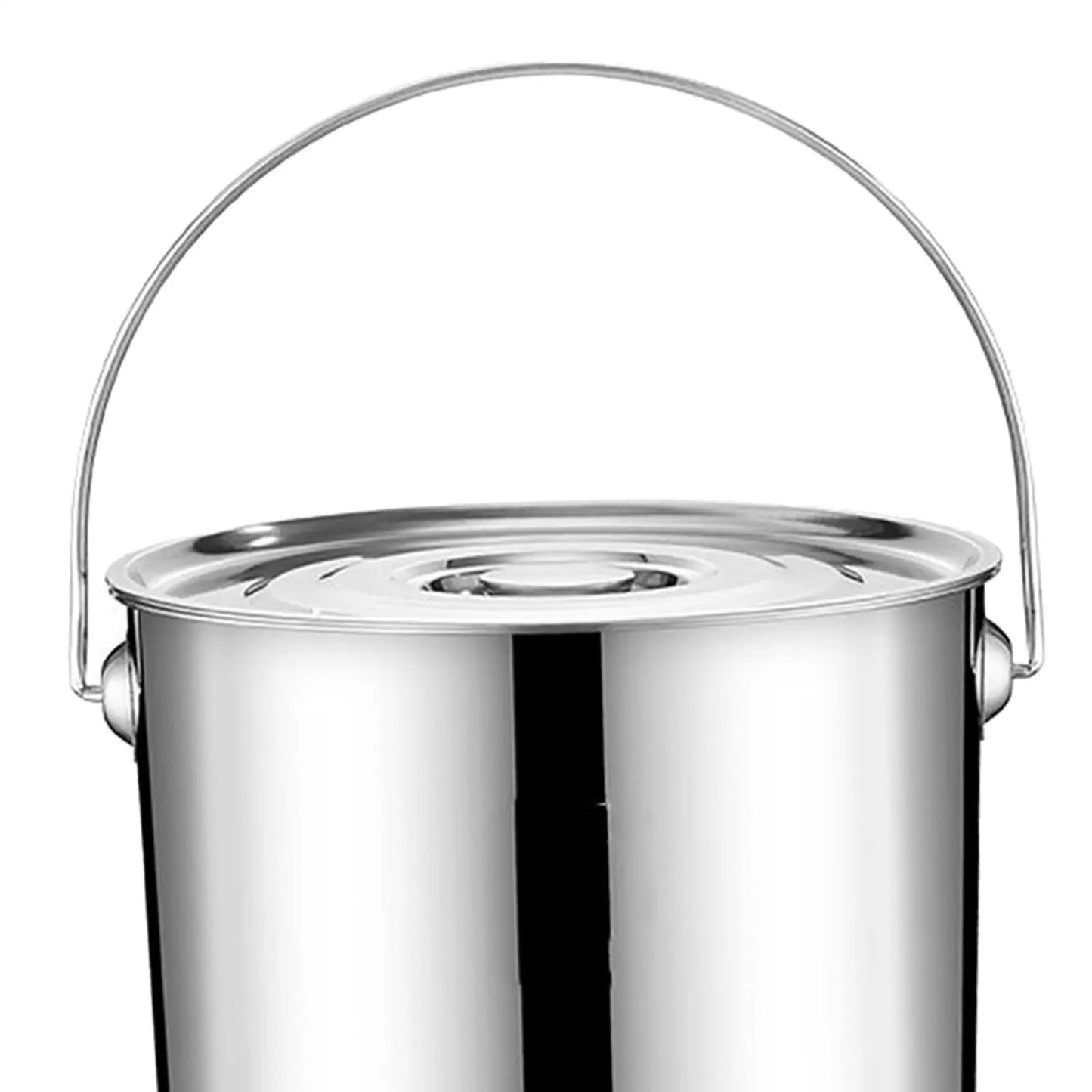 20L Stainless Steel Handled Stockpot