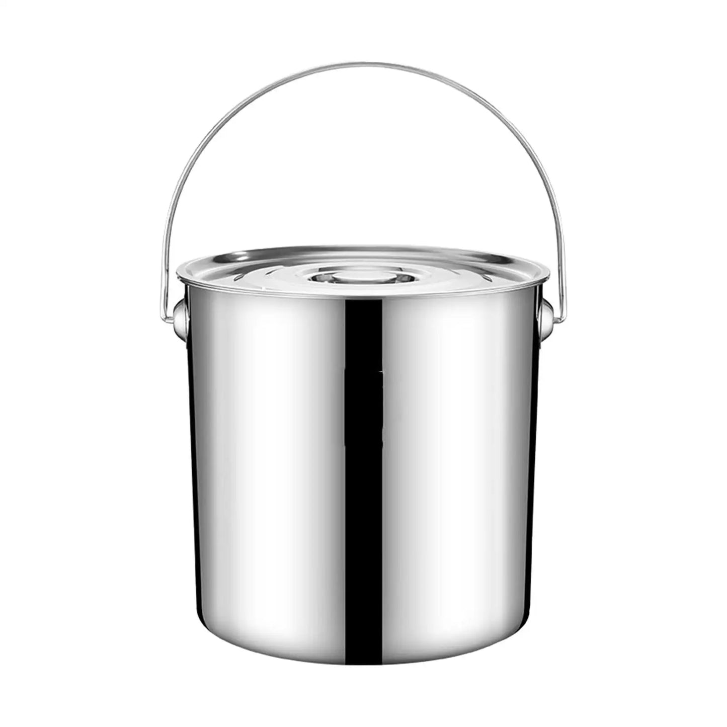 20L Stainless Steel Handled Stockpot