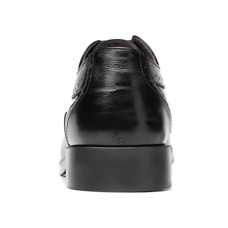 Oxford Brogue Shoes