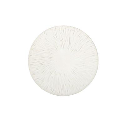Grande assiette plate en céramique à motif d'écorce