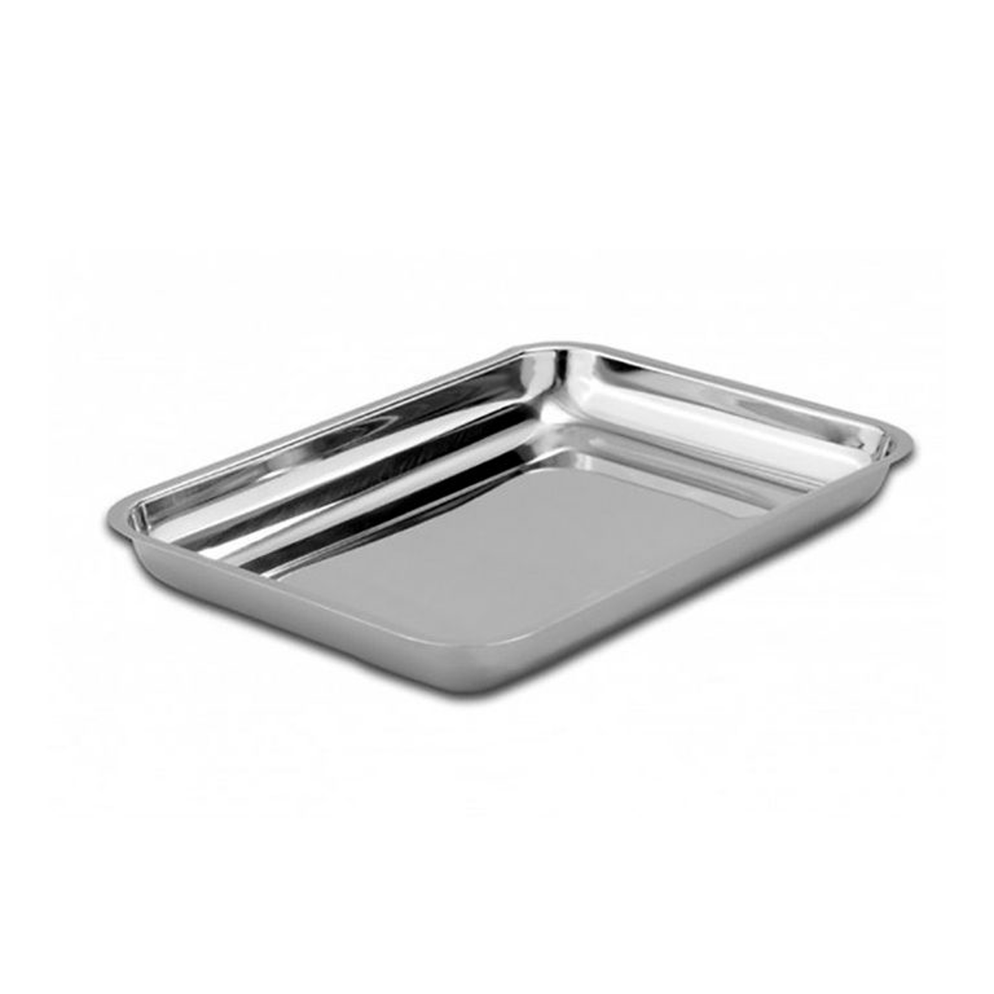 Small Stainless Steel Tray